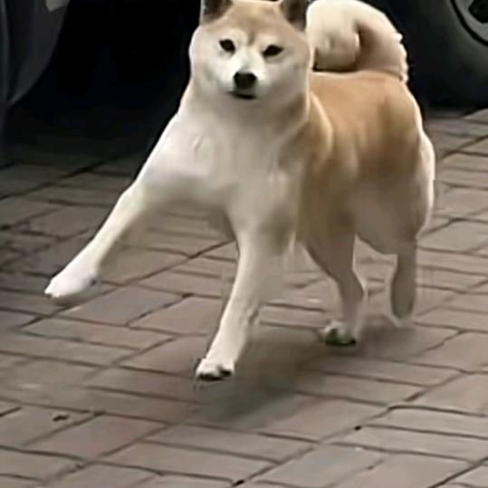 慕容云海