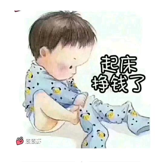 🌺踏雪寻梅🌺