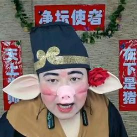 禅游猪八戒
