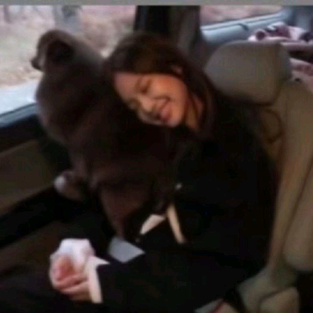 𝓤𝓷𝓻𝓮𝓺𝓾𝓲𝓽𝓮𝓭