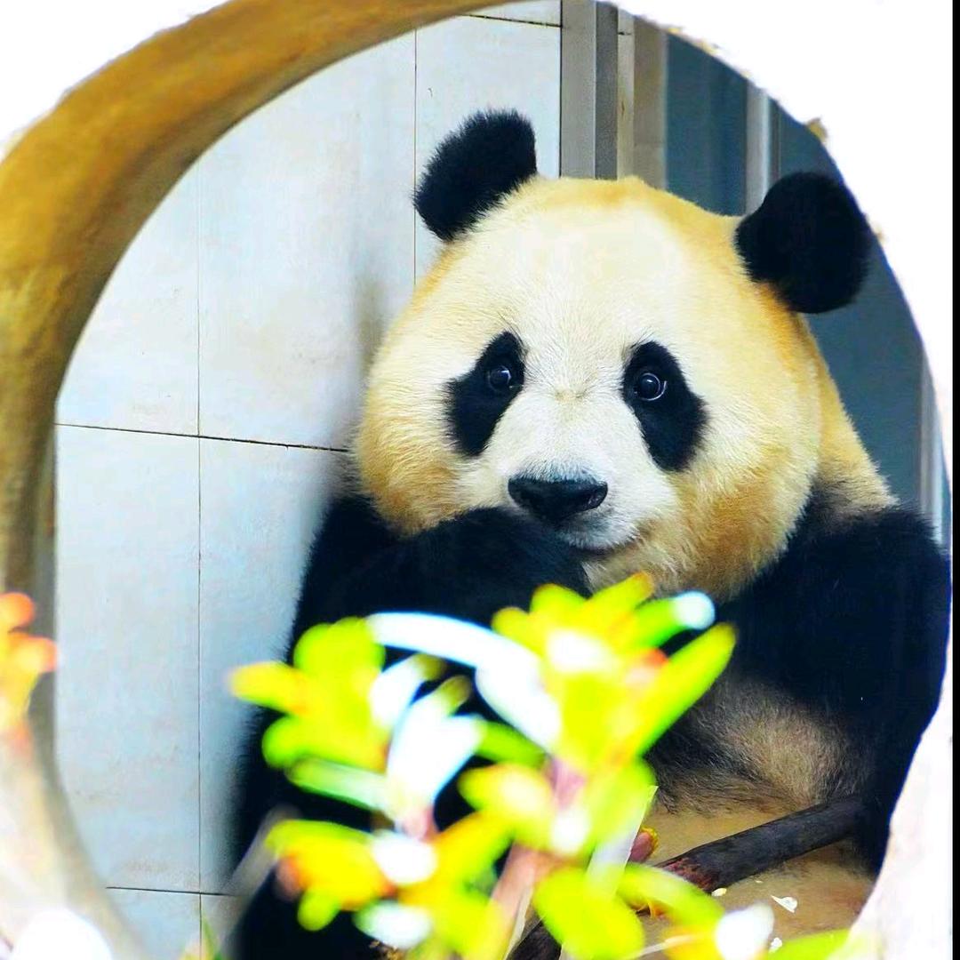 福宝有话说+培福成长