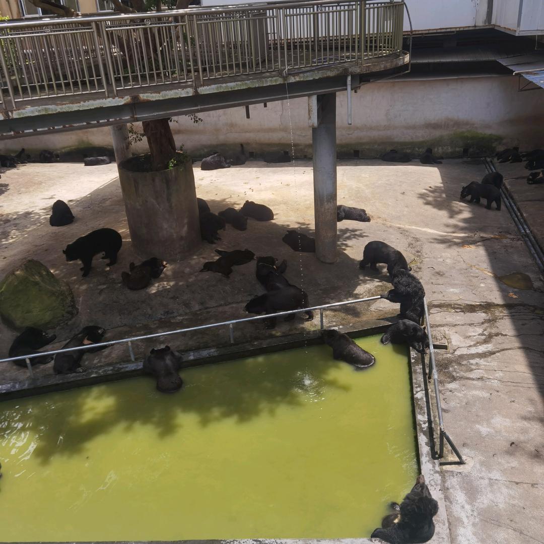阿峰