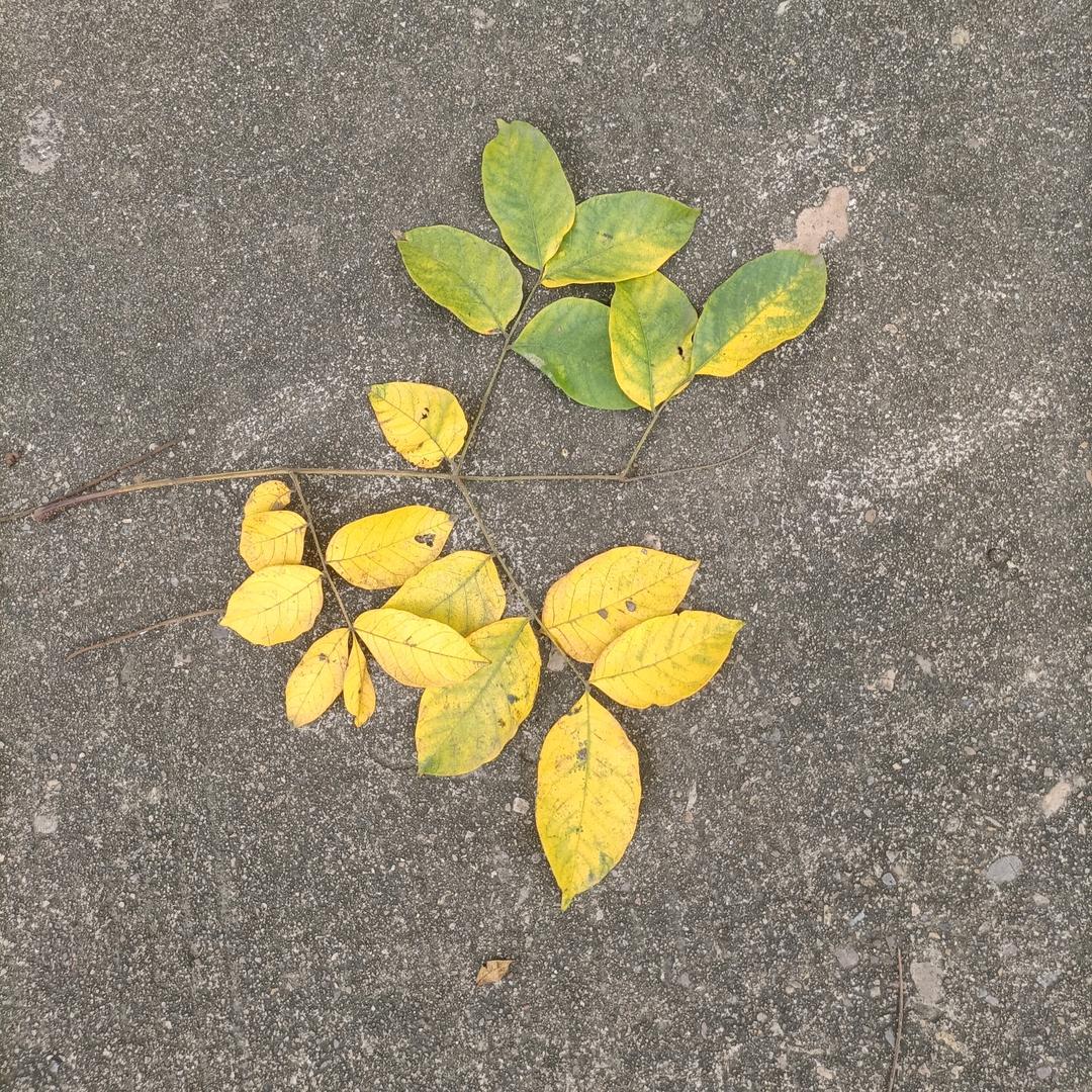 忘掉一切