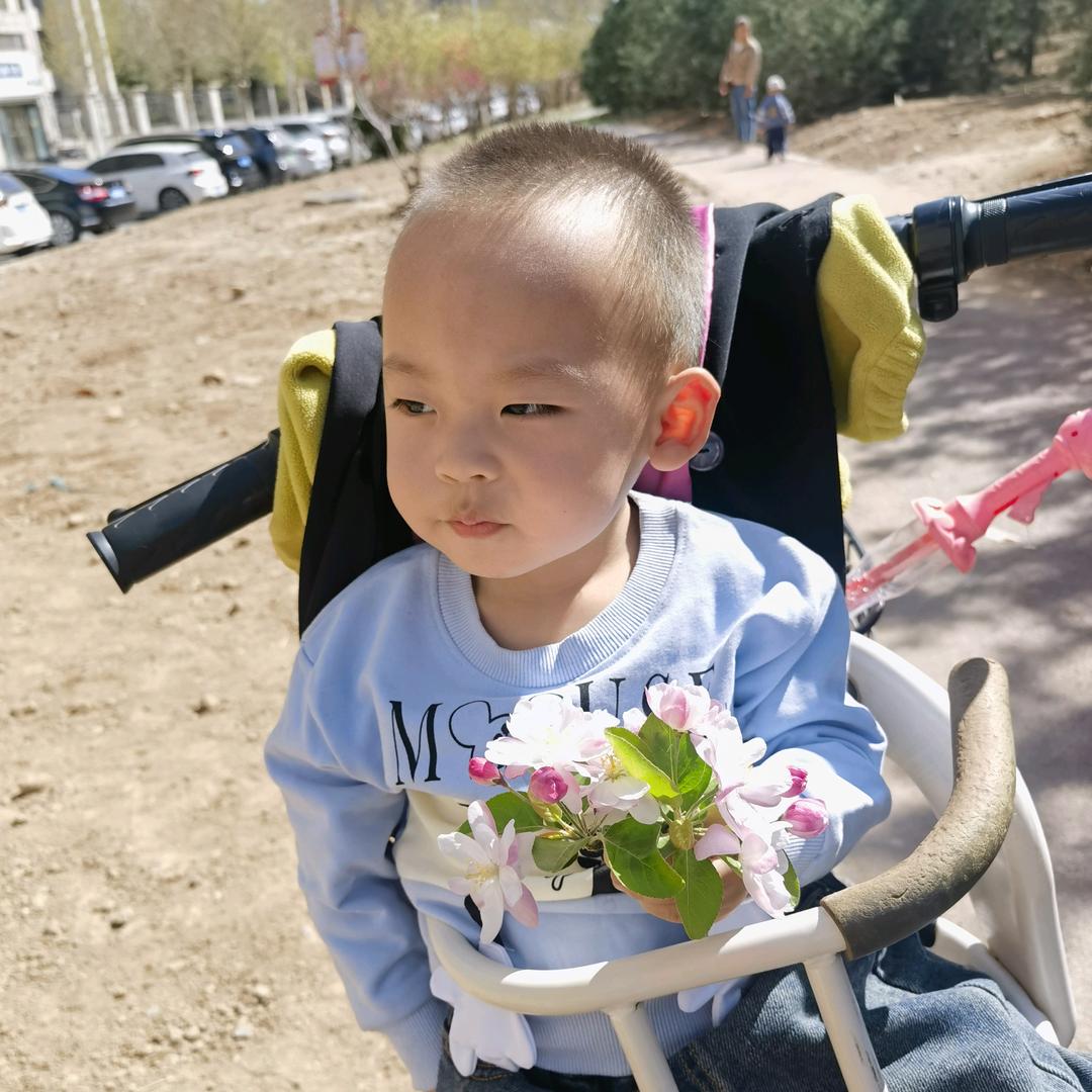 清秋落叶聚还散