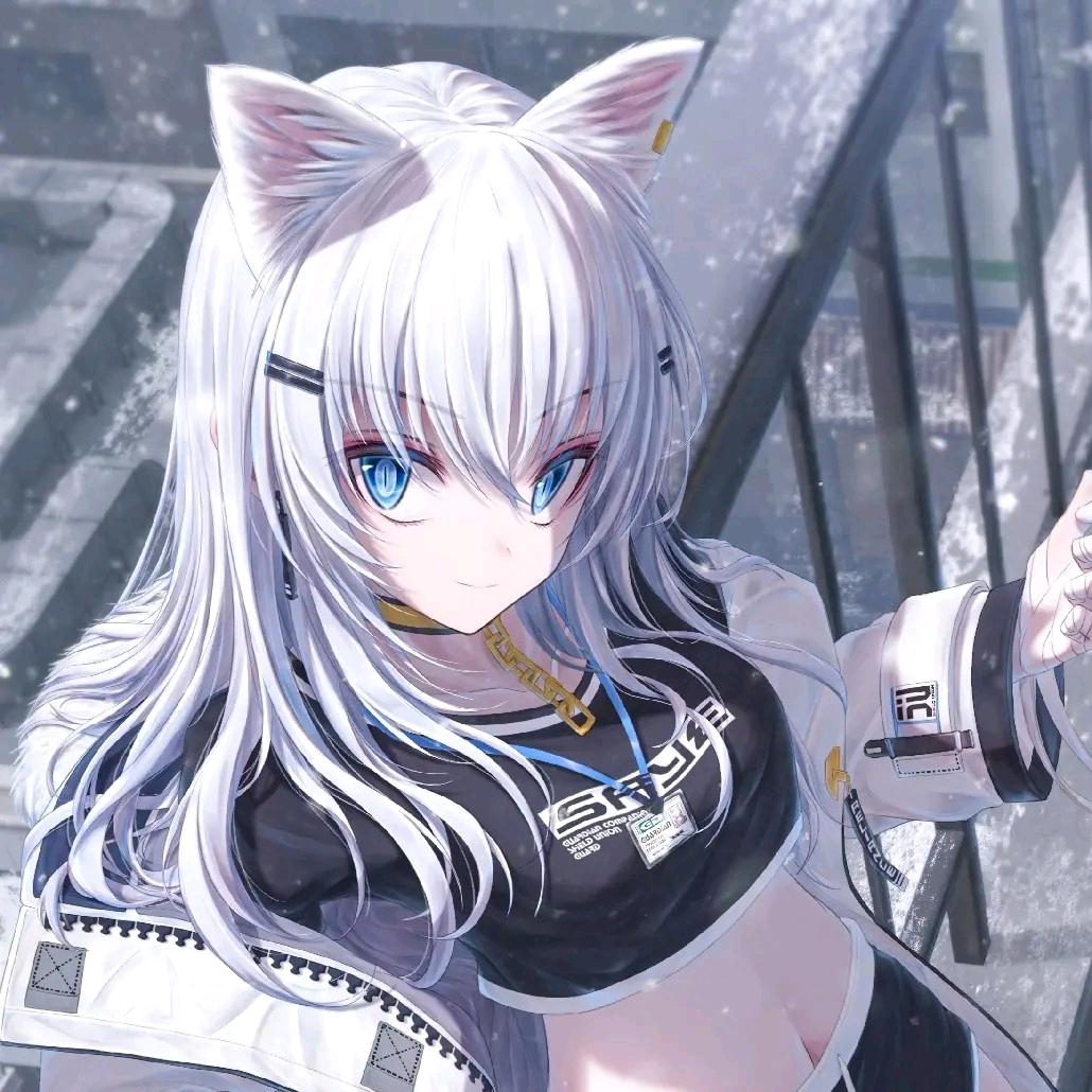 阿辽（三角洲代肝）