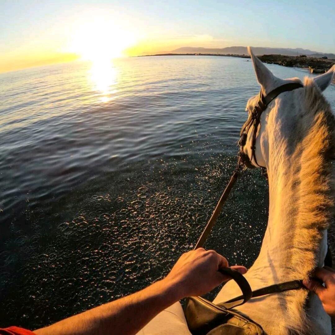 宋棋的闲暇时光