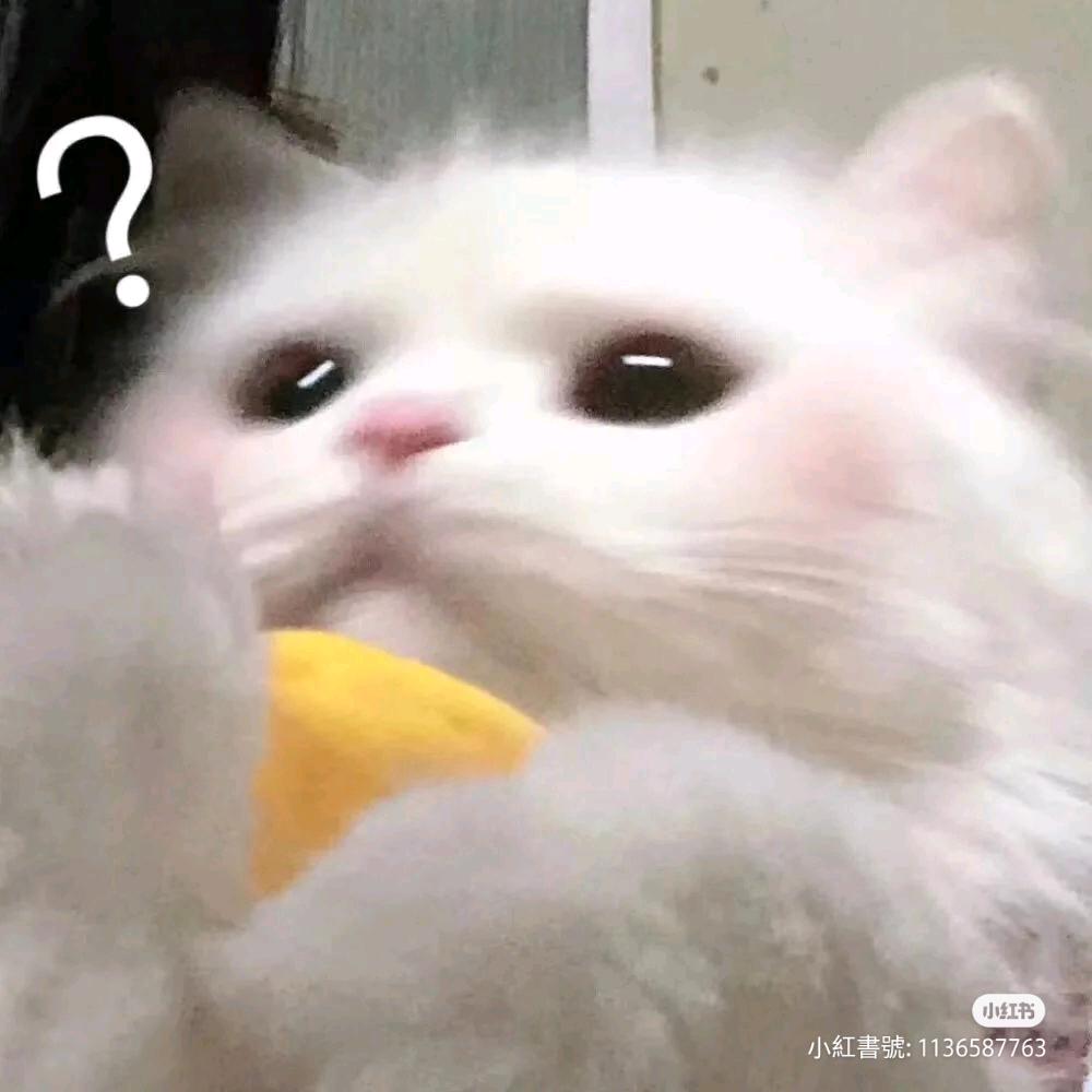 莉77