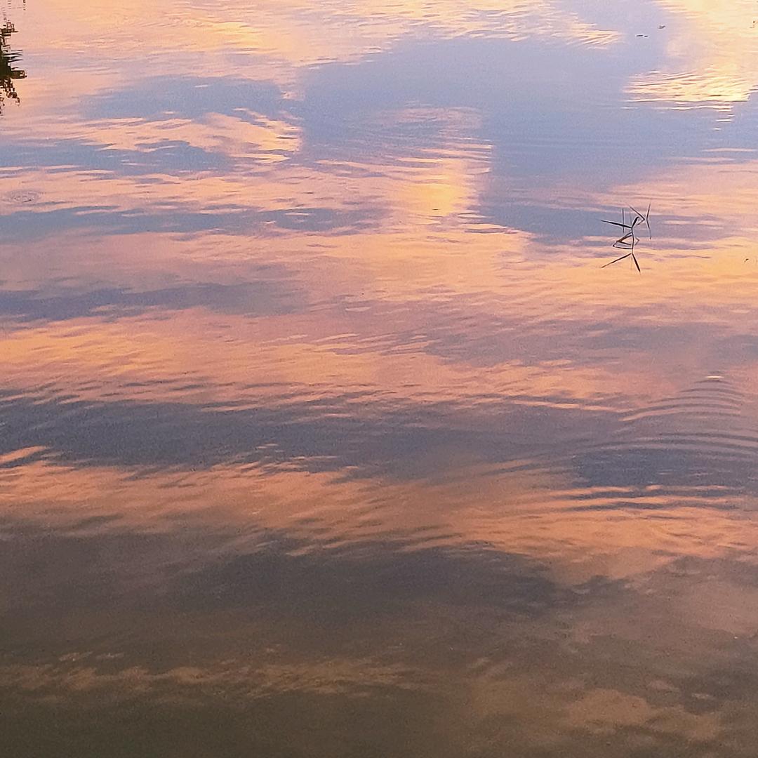 落花