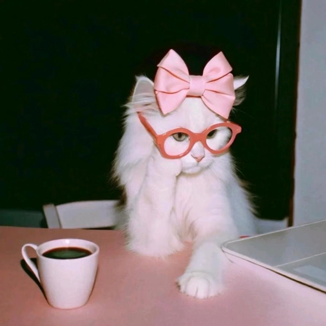 𝘼𝙨𝙝_𝙤𝙤