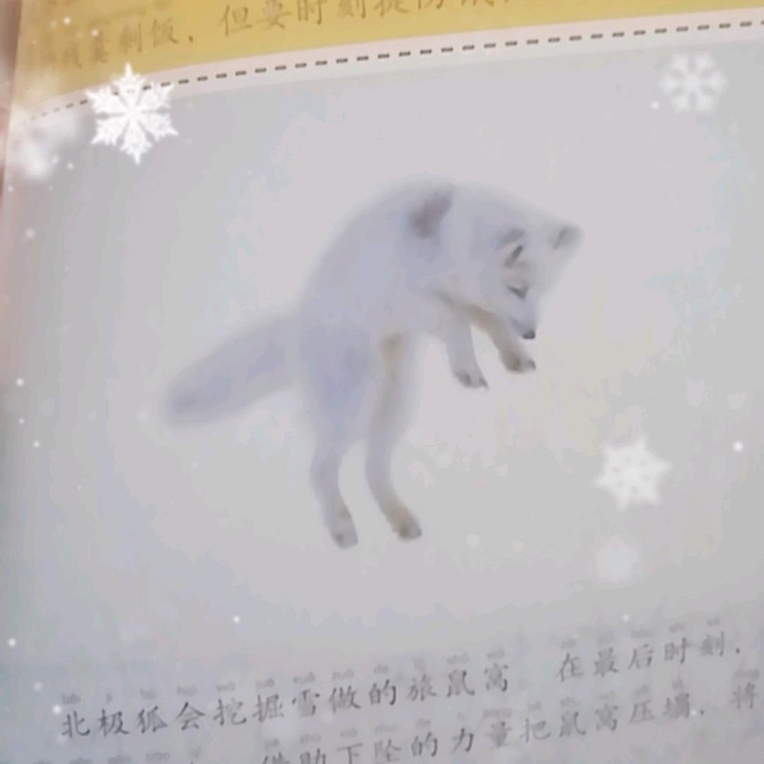 轻工制作风机，风阀