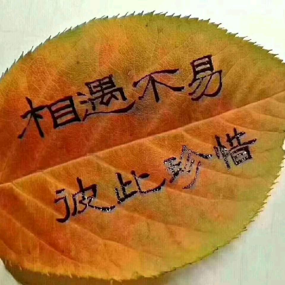 辉  哥
