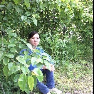 琉璃逐梦
