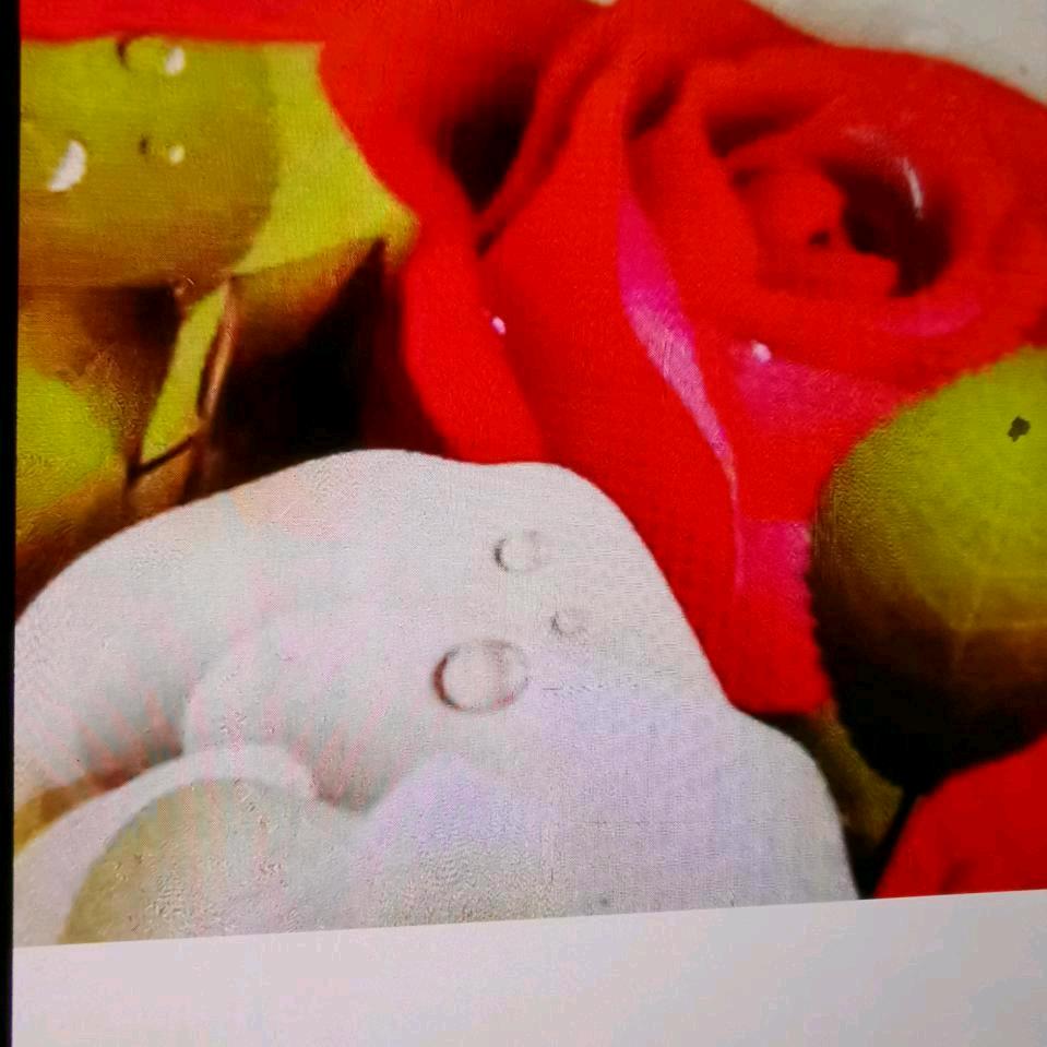 房不了