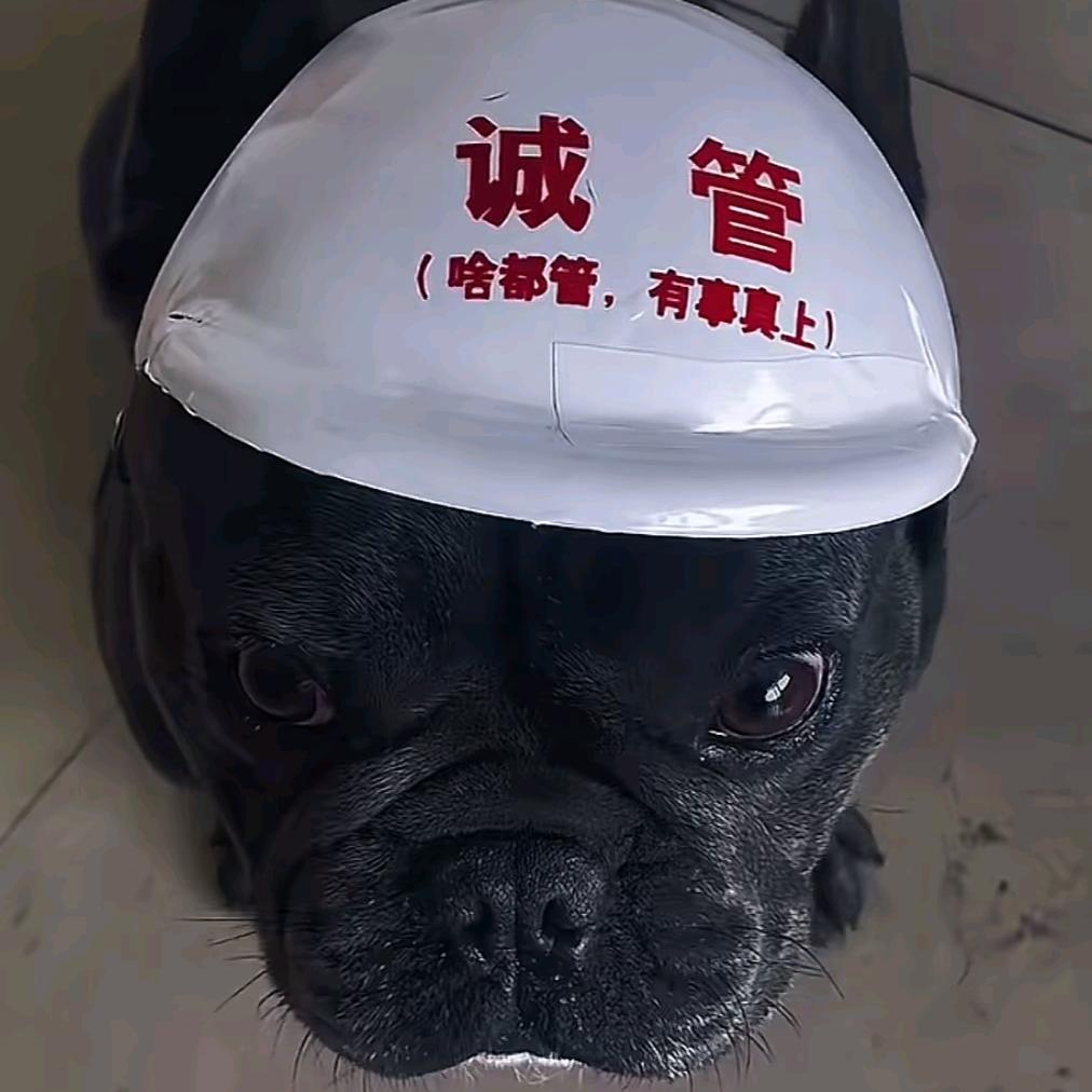 过尽千帆皆不是