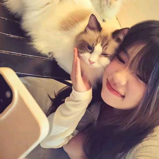 安徒生的猫·
