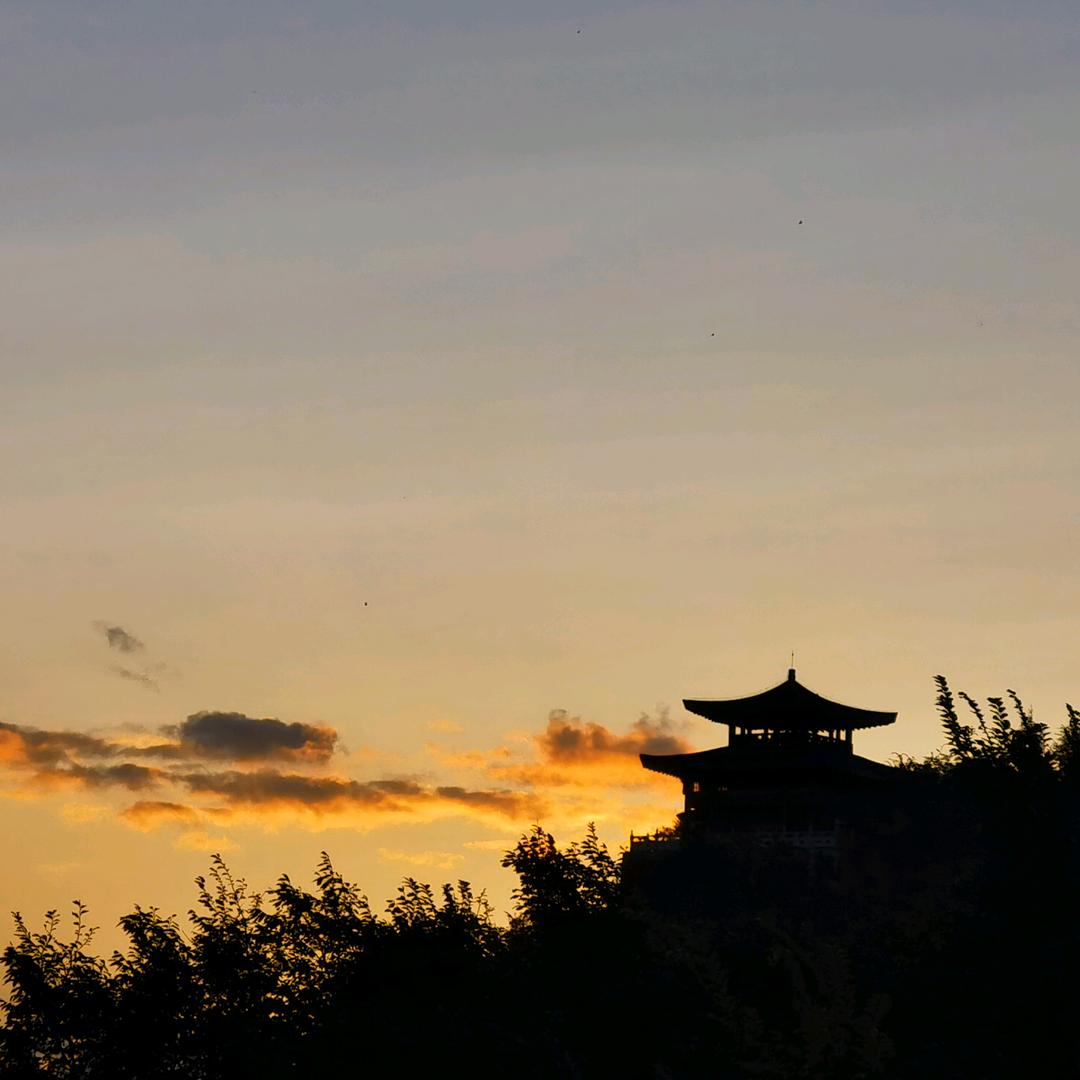 得梦鹿鱼