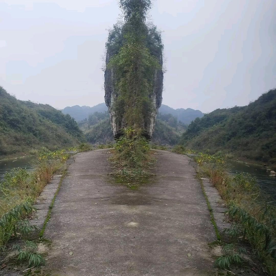 每天都快乐Al