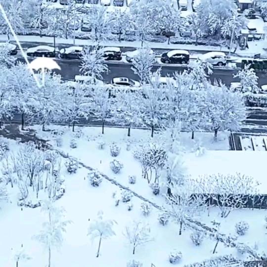 巫山火星人集成灶