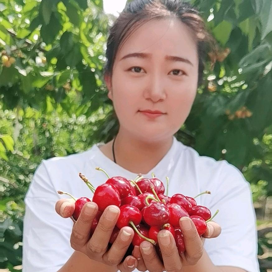 沐枂