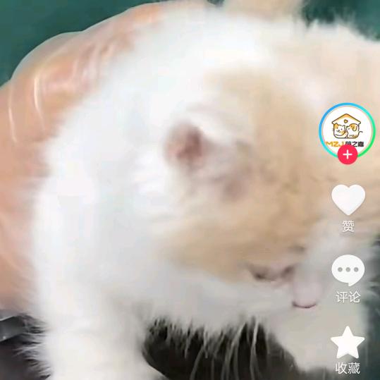 靠自己努力赚钱