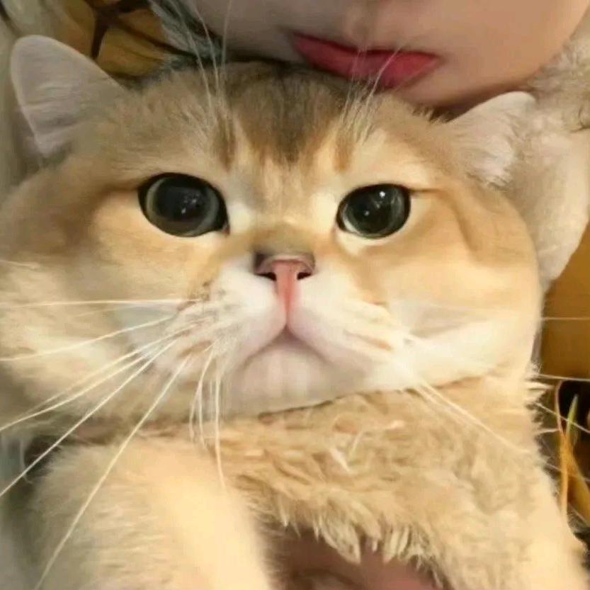錯过