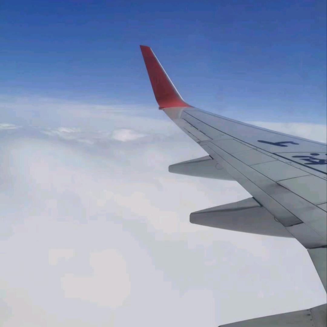 深海的鱼
