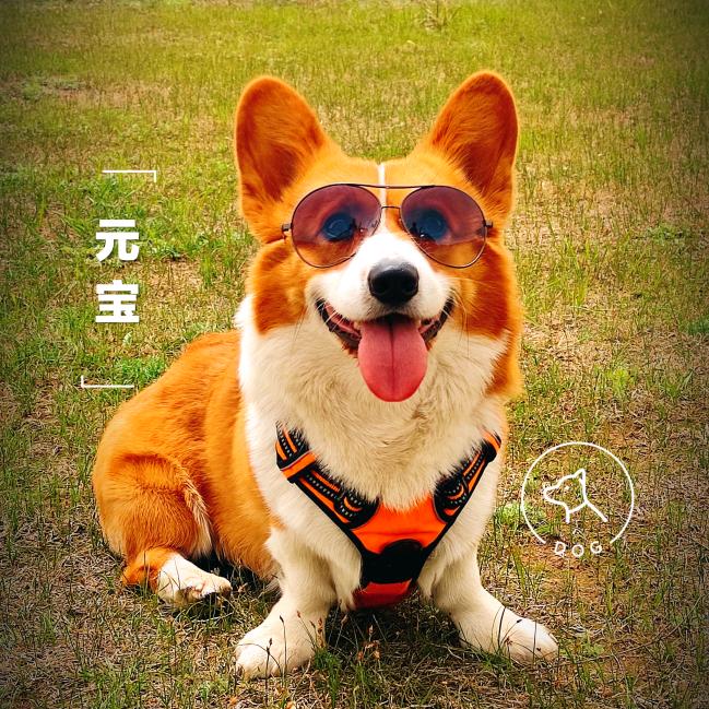 冶哥 户外