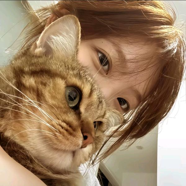 你的人生就是说不清楚我为什么