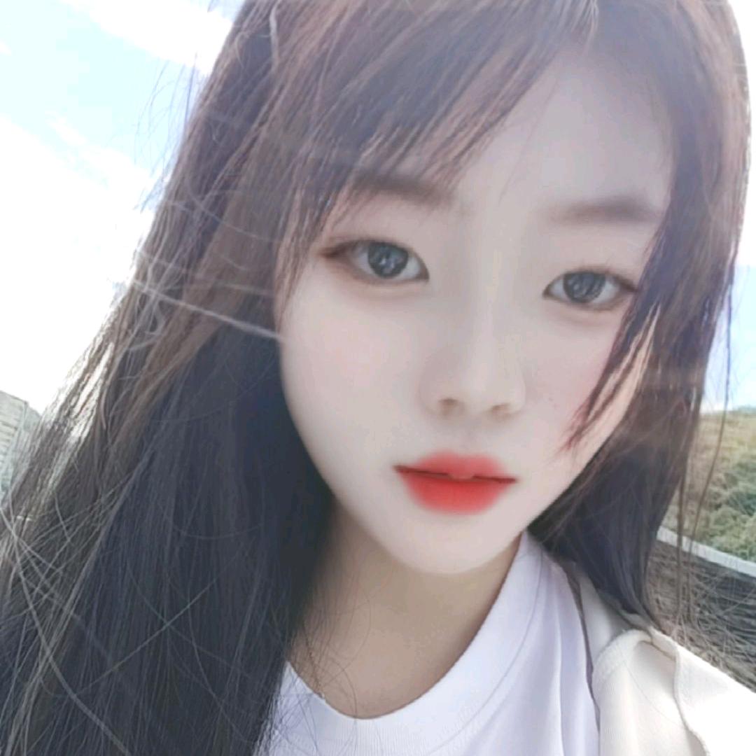 长情的小松鼠