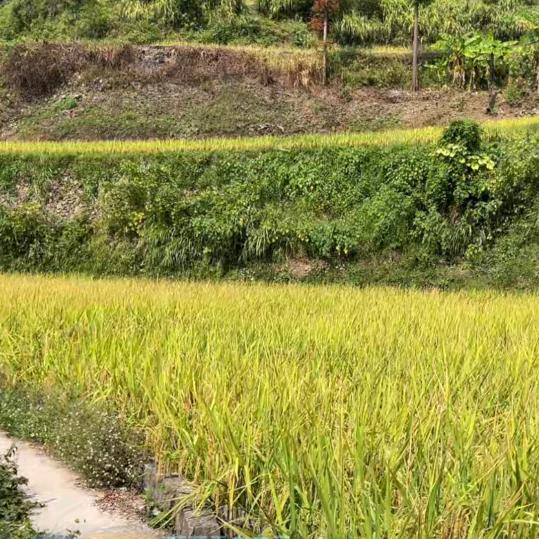 台湾之家小卖铺