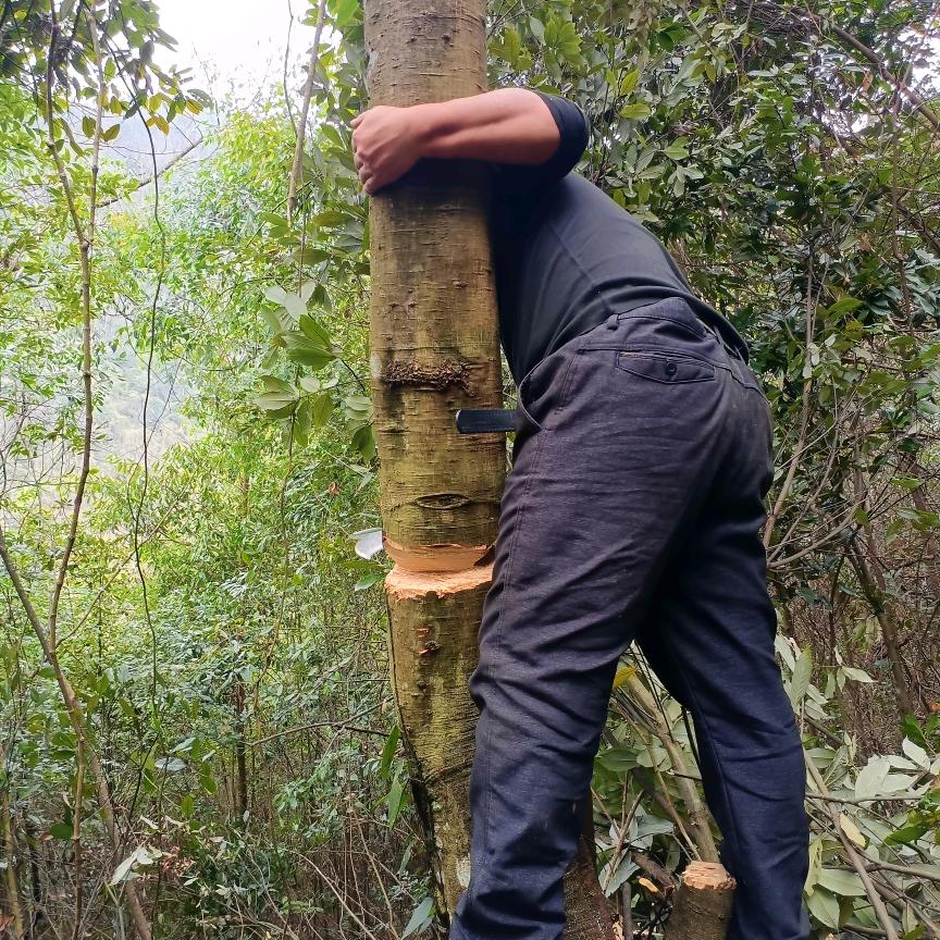 吴→_→所→_→畏惧