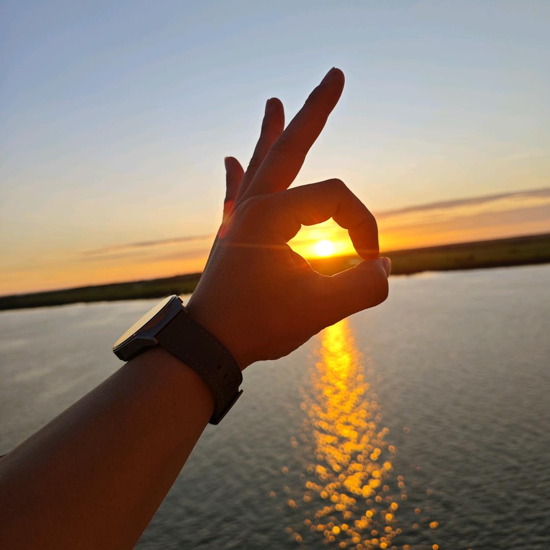 逆流而上的榆木。