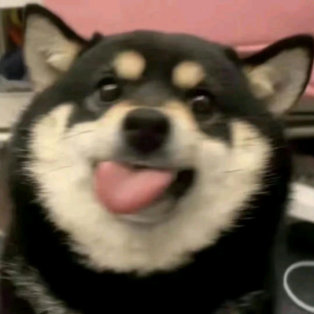 不喝威士忌