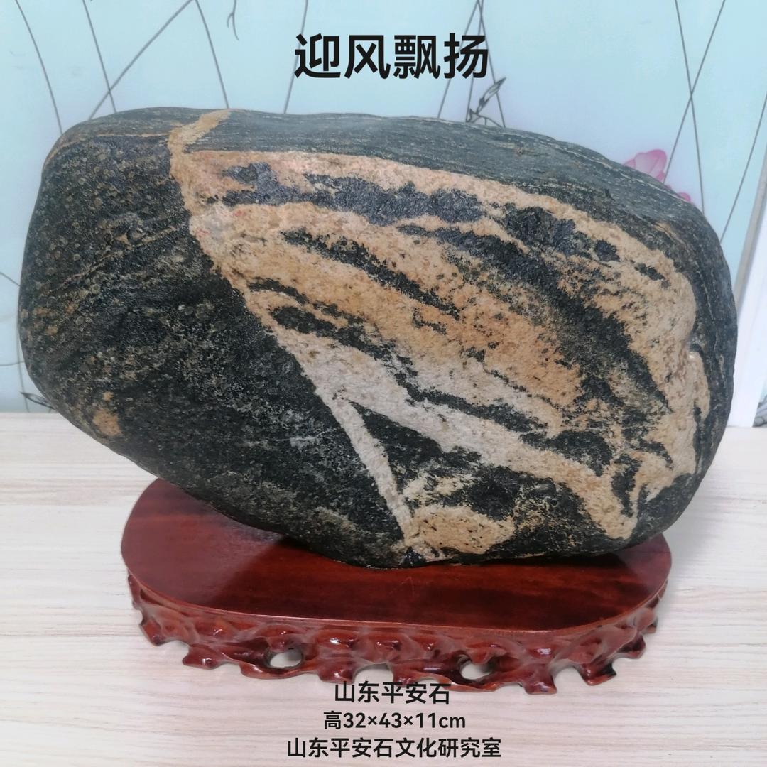 石韵