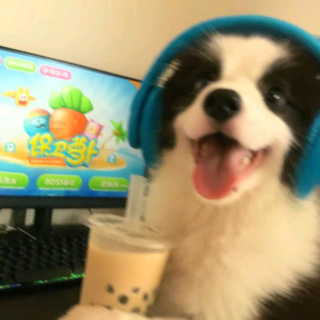 十七岁教授早起抢超市免费egg疯狂肘击