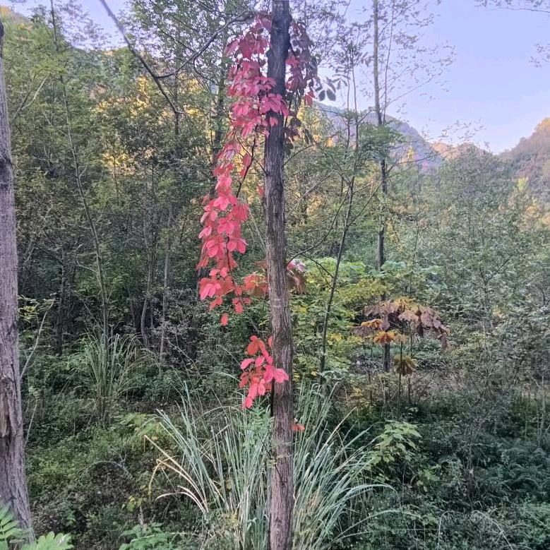 抽空转着玩