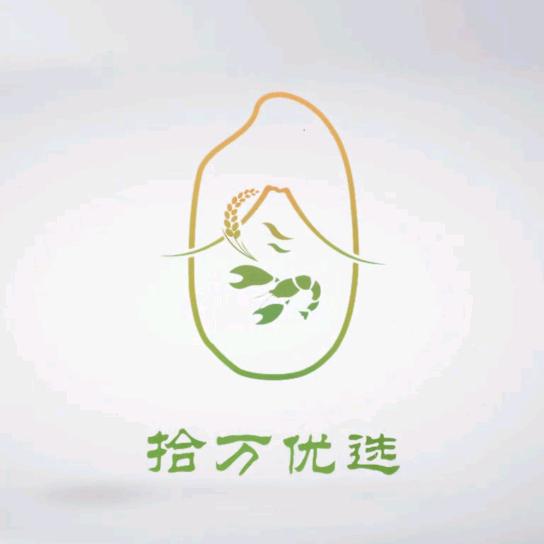 拾万优选