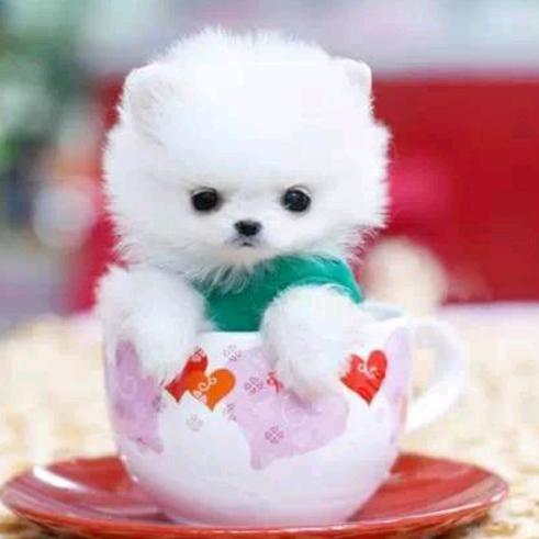 寒星点点寄相思🍁山海遥隔夜难眠