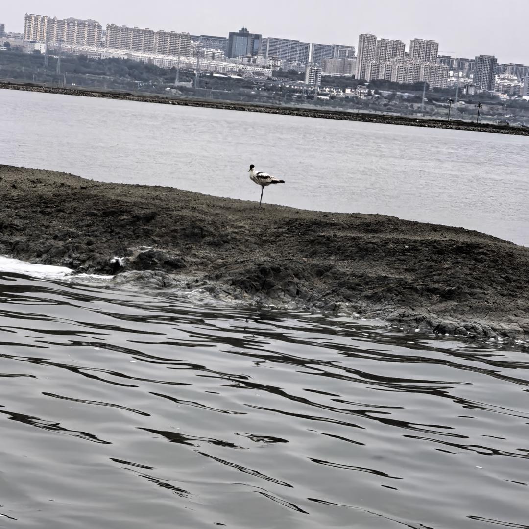老二
