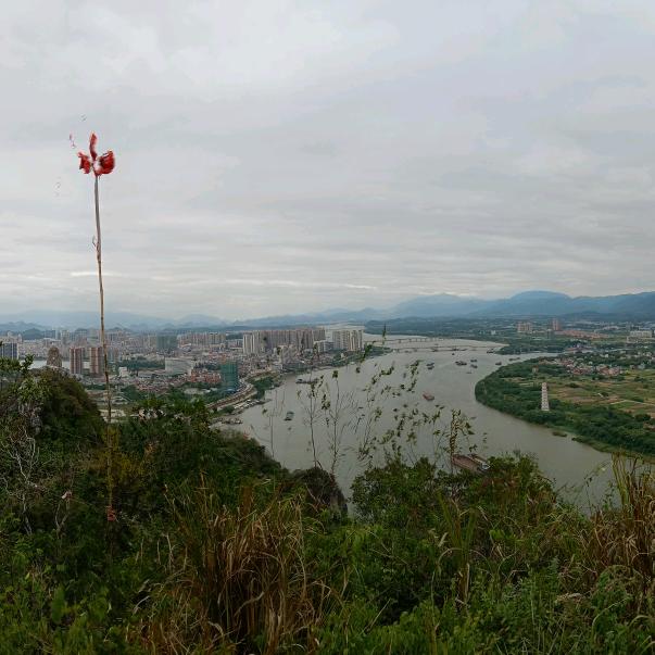 向山冲