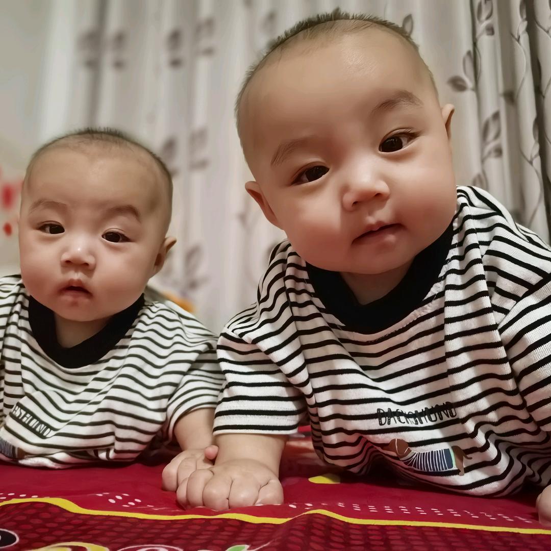 糖豆毛豆的开心日记