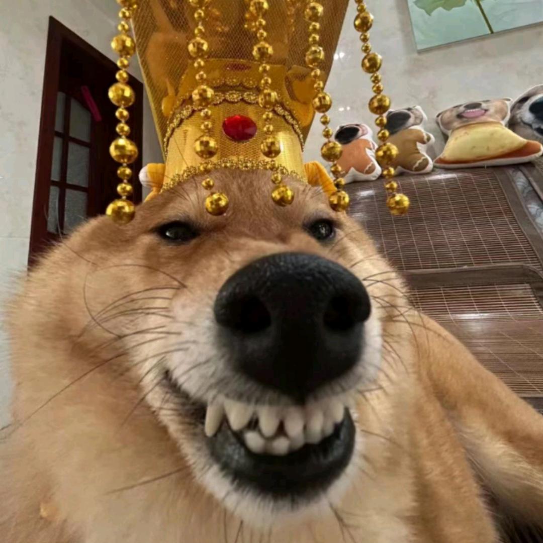 日照小牟元禾金包银