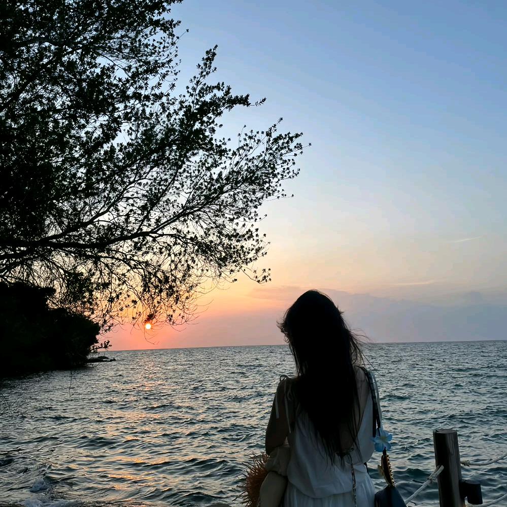 乱花渐欲迷人眼