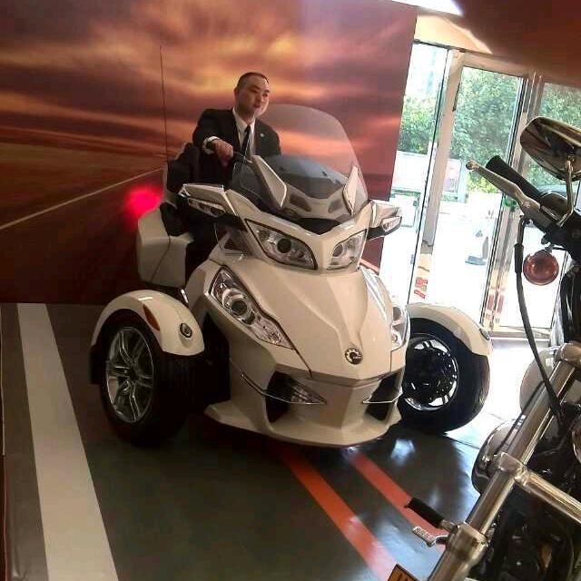 用户:马到成功