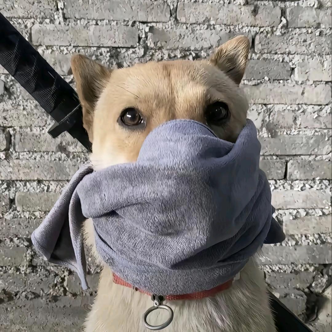 老辞