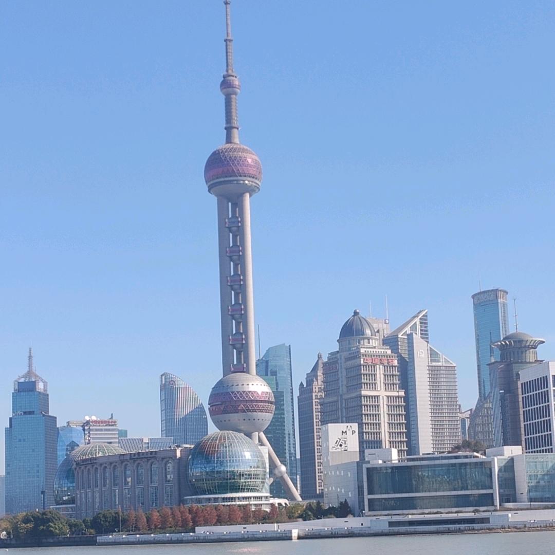 兔宝宝🐰(挑战涨粉)
