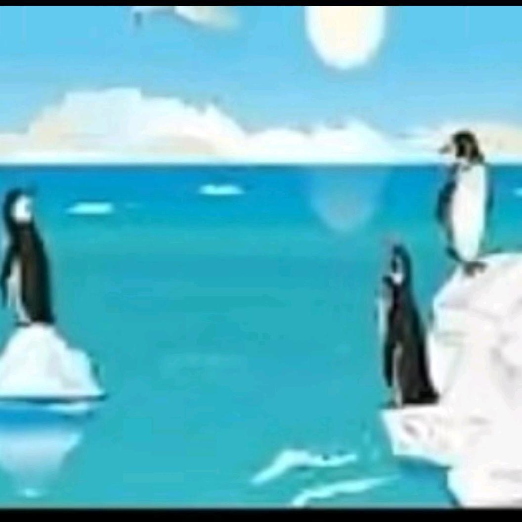 飞阳