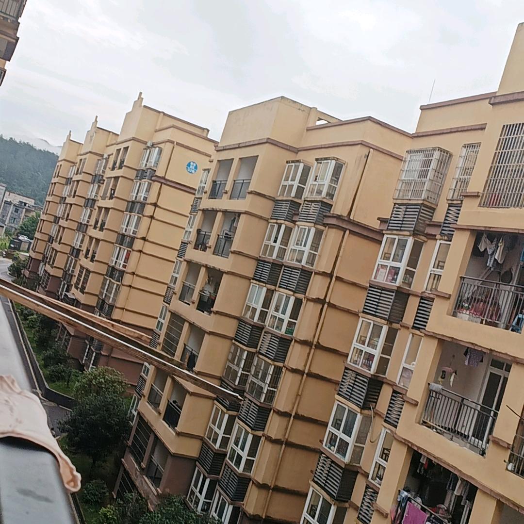 下定决心忘记你