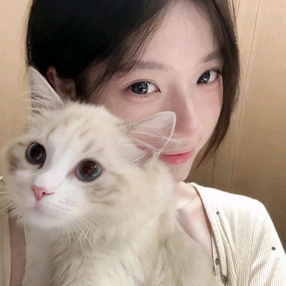 小懒懒.