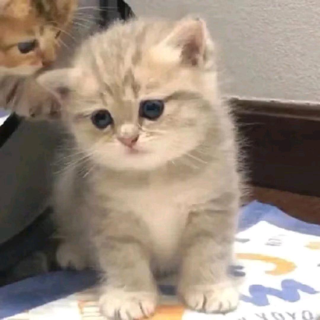 许🐟🐟🐟🐟🐟